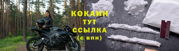 гашик Беломорск