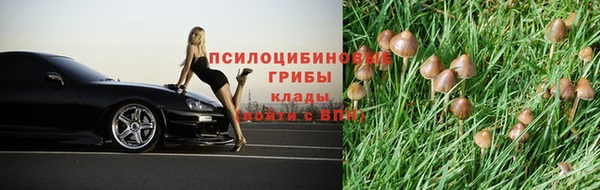 гашик Беломорск