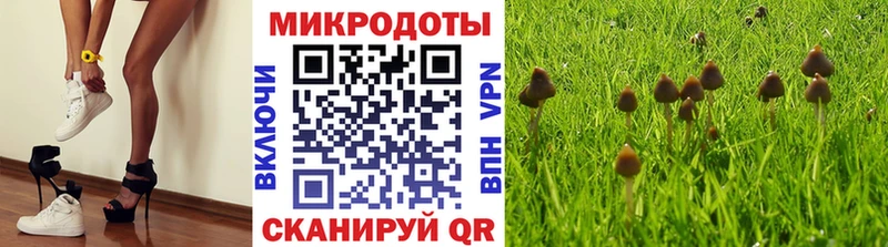 Галлюциногенные грибы прущие грибы Наволоки